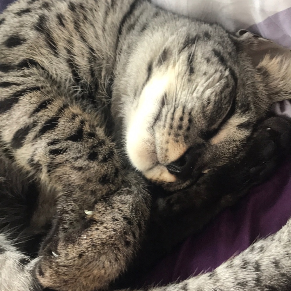 Meet your Posher, Aleksandra